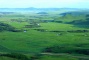 Hulunbeir Grassland